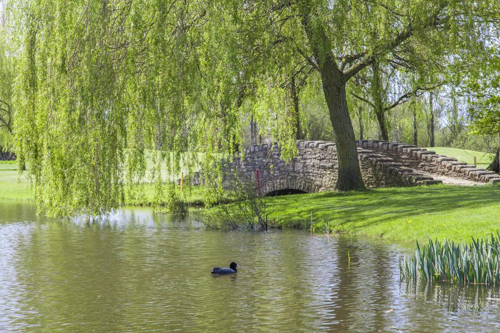 Dudsbury Golf Club - Hotel And Spa Ferndown Εξωτερικό φωτογραφία
